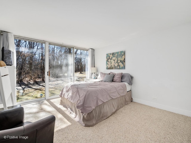 bedroom featuring access to exterior and baseboards