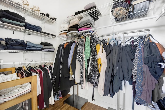 walk in closet featuring wood-type flooring