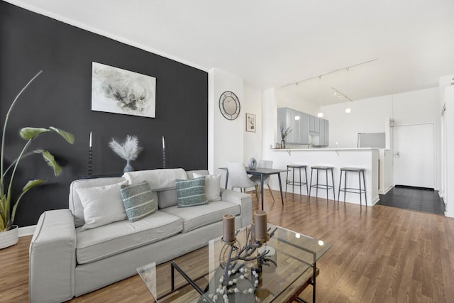 living room featuring dark hardwood / wood-style flooring and rail lighting