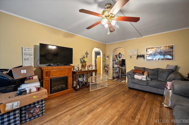 living room featuring hardwood / wood-style flooring, ceiling fan, and ornamental molding