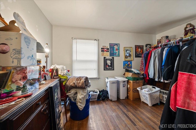 walk in closet featuring dark hardwood / wood-style flooring