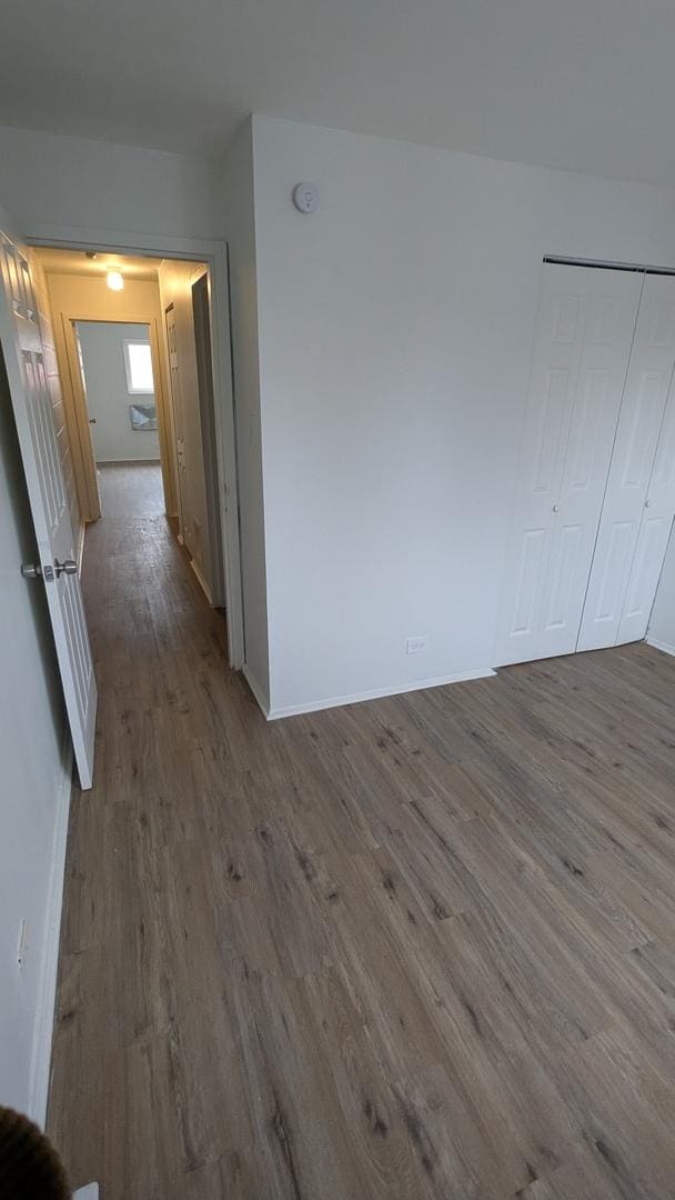 empty room featuring wood-type flooring