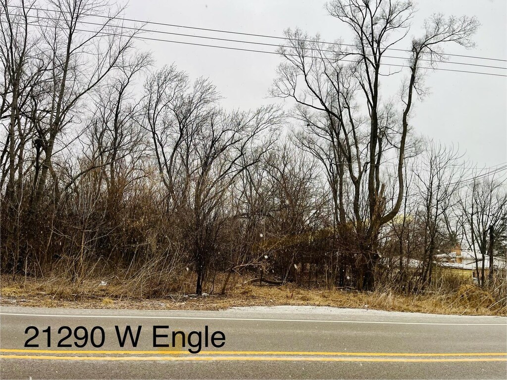 21290 W Engle Dr, Lake Villa, IL 60046 - photo 1