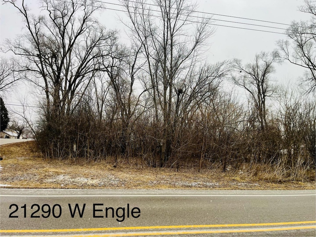 21290 W Engle Dr, Lake Villa, IL 60046 - photo 2