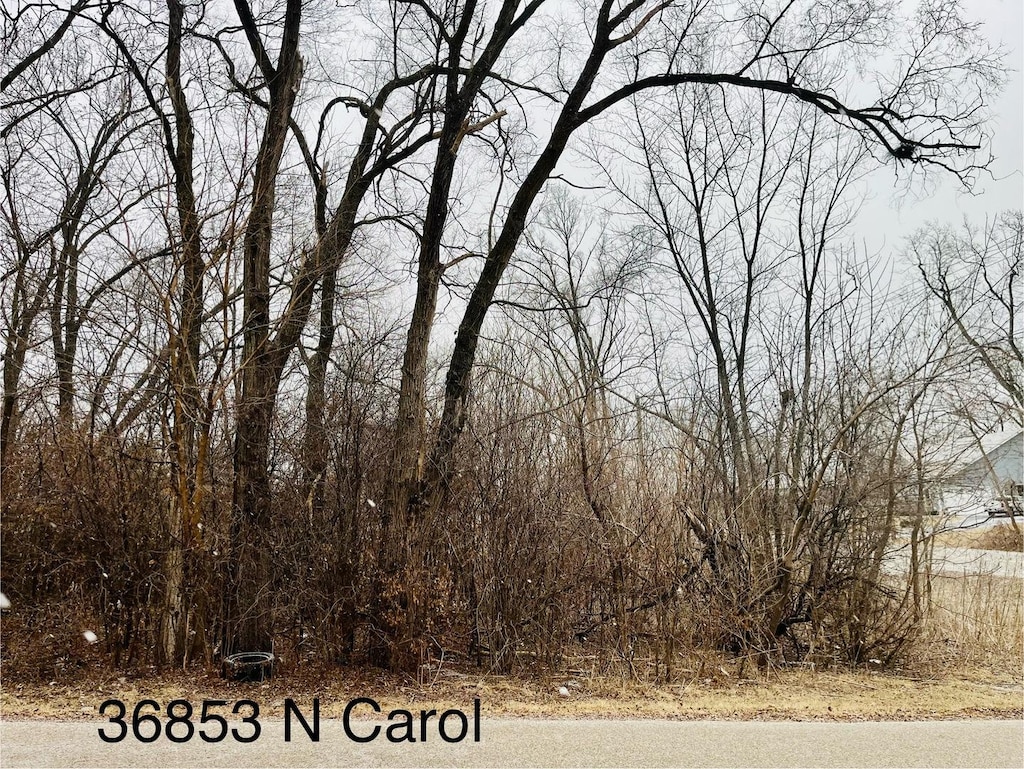 21290 W Engle Dr, Lake Villa, IL 60046 - photo 4
