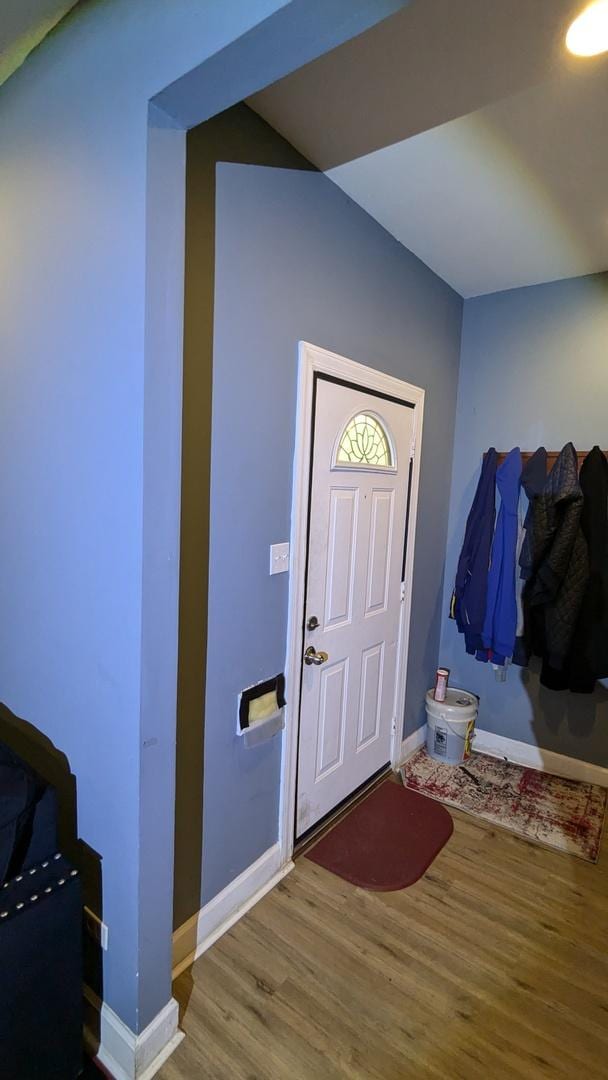 foyer entrance featuring hardwood / wood-style flooring
