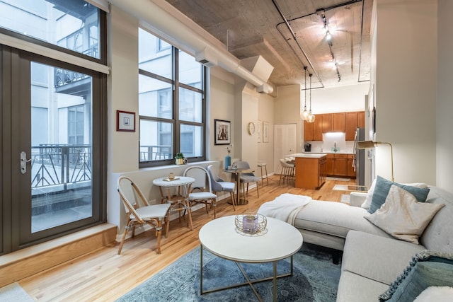 living room featuring sink, light hardwood / wood-style floors, rail lighting, and a high ceiling