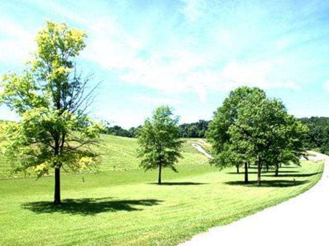 view of community with a lawn