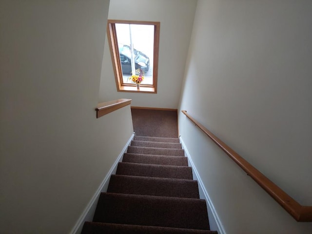 stairway featuring carpet flooring