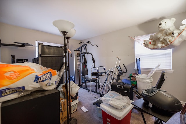 workout room with carpet floors