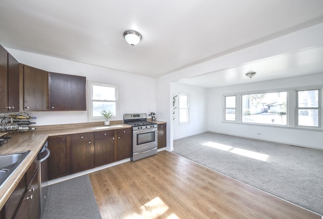 kitchen featuring appliances with stainless steel finishes, dark brown cabinets, and plenty of natural light