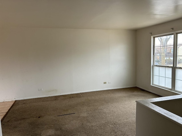 unfurnished room with carpet