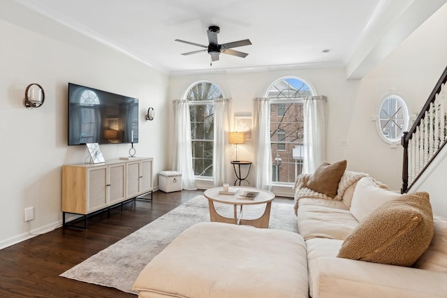 living room featuring dark wood-type flooring, ceiling fan, and ornamental molding