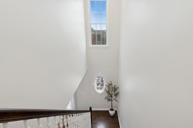 staircase featuring hardwood / wood-style flooring