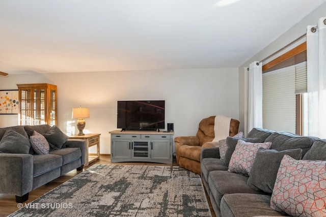 living room featuring wood finished floors