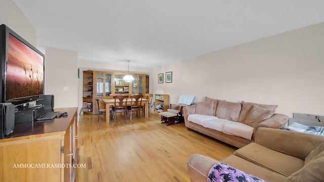 living area with wood finished floors