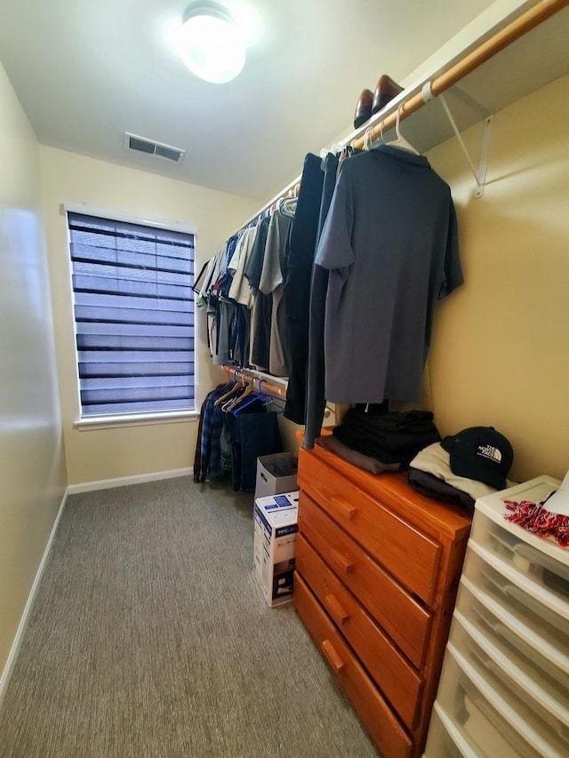 662 W Kristina Ln, Round Lake, IL 60073 - walk in closet featuring carpet