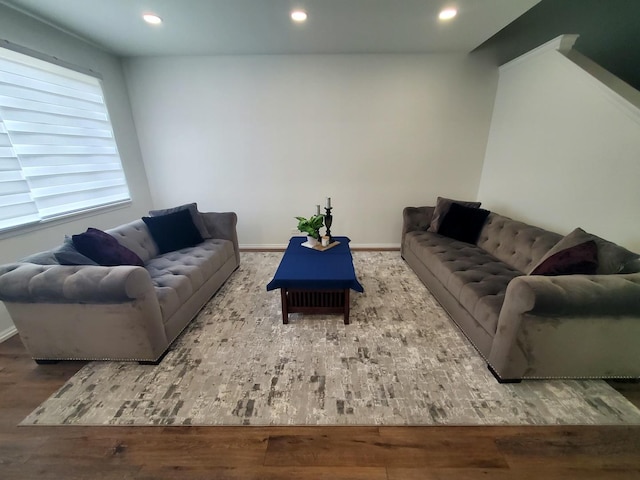 662 W Kristina Ln, Round Lake, IL 60073 - living room featuring wood-type flooring