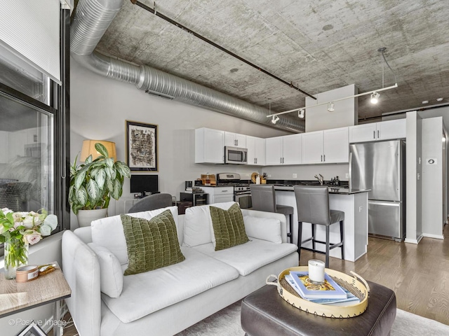 living room featuring dark wood-type flooring and track lighting