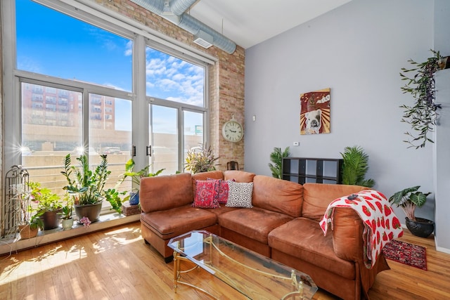 living room featuring hardwood / wood-style floors