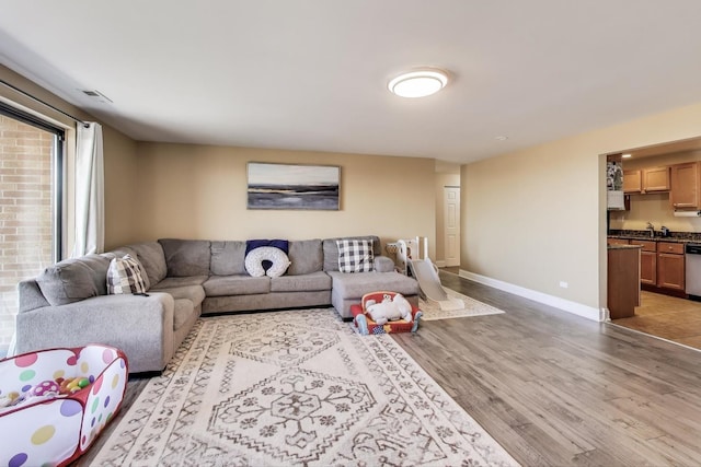 living room featuring sink and wood-type flooring