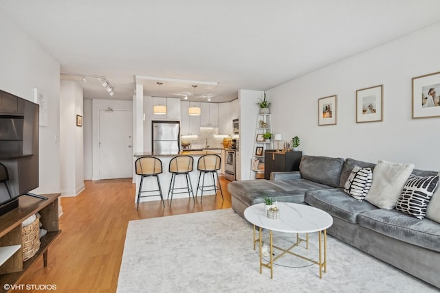 living room featuring light hardwood / wood-style floors