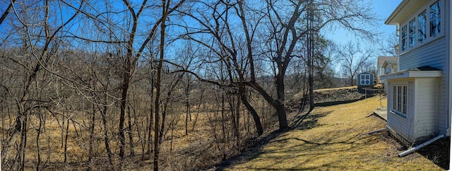 469 Dewey Ave, Galena, IL 61036 - view of yard