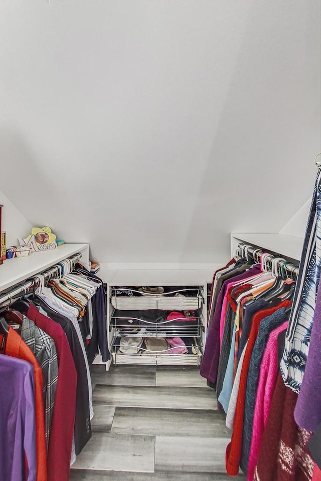 walk in closet with lofted ceiling and wood finished floors