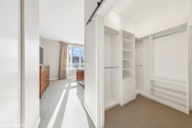 walk in closet featuring light colored carpet and a barn door