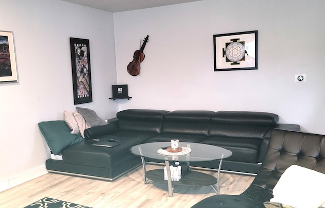 living room with hardwood / wood-style floors