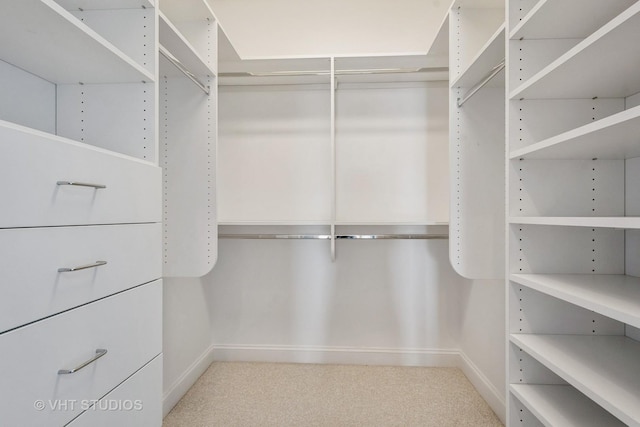 4953 Oakton St Unit 605, Skokie, IL 60077 - walk in closet with light carpet