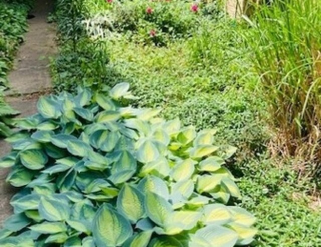 exterior details with a vegetable garden