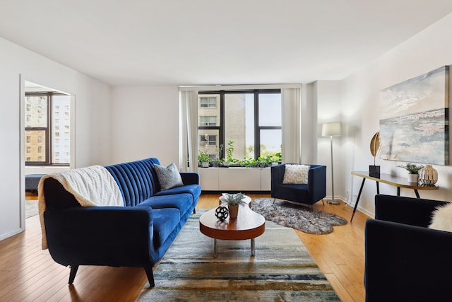 living room with dark hardwood / wood-style flooring