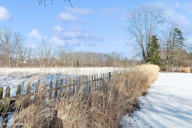 view of yard covered in snow