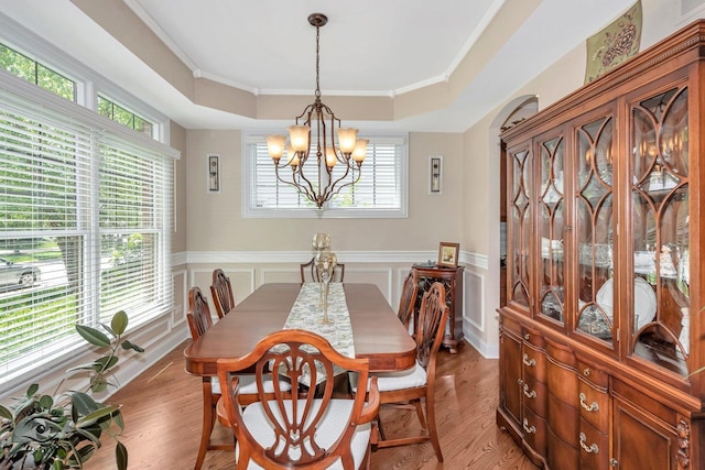 dining room with a tray ceiling, plenty of natural light, and light hardwood / wood-style floors