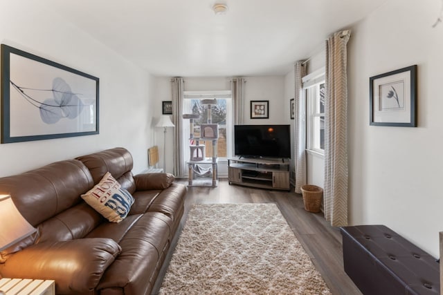 living room featuring wood finished floors