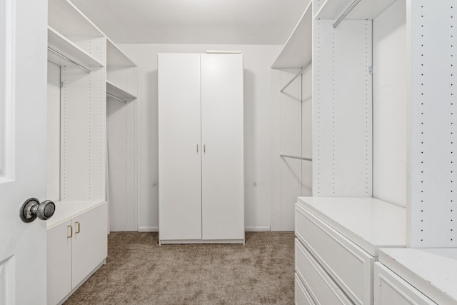 walk in closet featuring light carpet