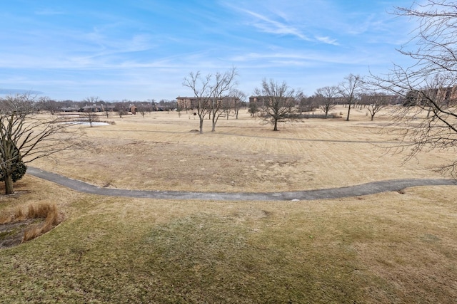 view of yard with a rural view