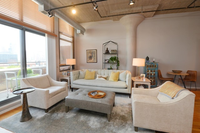 living room with wood-type flooring, a towering ceiling, and track lighting