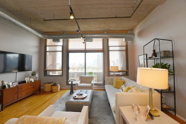 living room featuring hardwood / wood-style floors