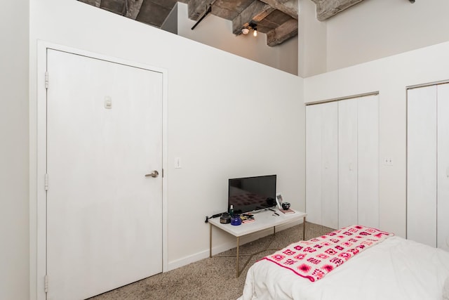 bedroom featuring two closets