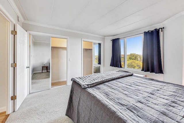 carpeted bedroom with crown molding and two closets