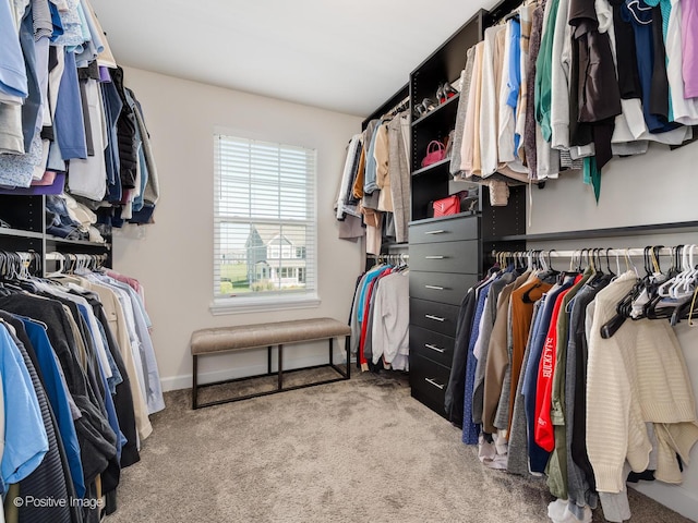 spacious closet with light colored carpet