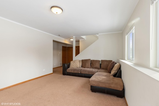 carpeted living room featuring crown molding