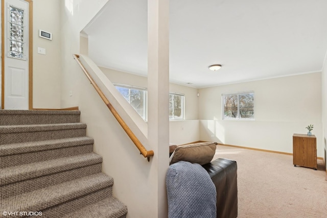 stairs with plenty of natural light and carpet