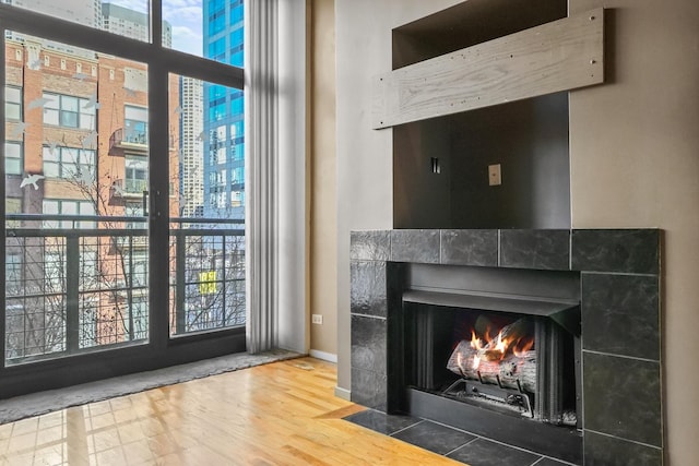 details with hardwood / wood-style flooring and a fireplace