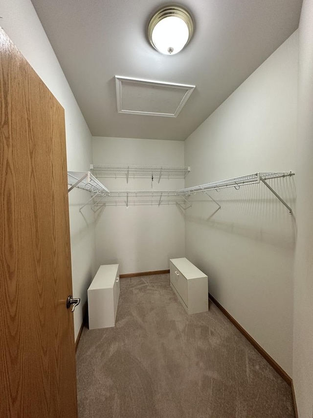 spacious closet with light carpet and attic access