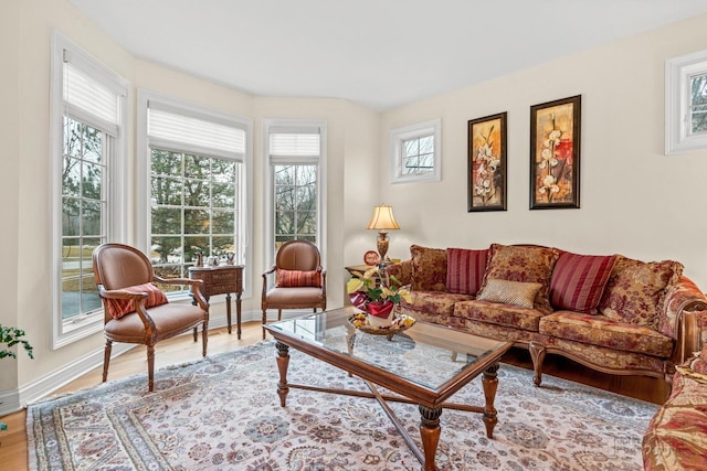 living area with baseboards and wood finished floors