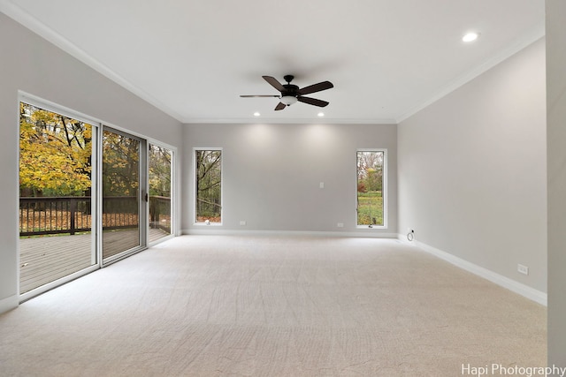 carpeted empty room with crown molding and ceiling fan