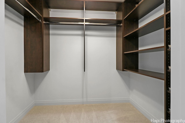 walk in closet featuring carpet floors